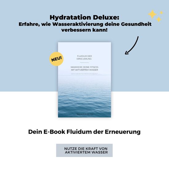 E-Book Fluidum der Erneuerung